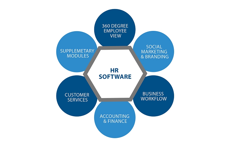 Diagram showing processes supported by HRMS HR software